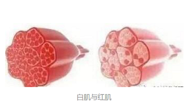 青岛万博足球app下载官网
—食品加工配料解决方案提供者，不一样的体验